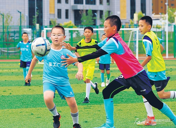 无码人妻少妇色欲AV一区二区