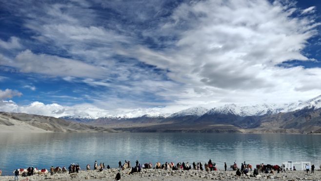 无码人妻少妇色欲AV一区二区