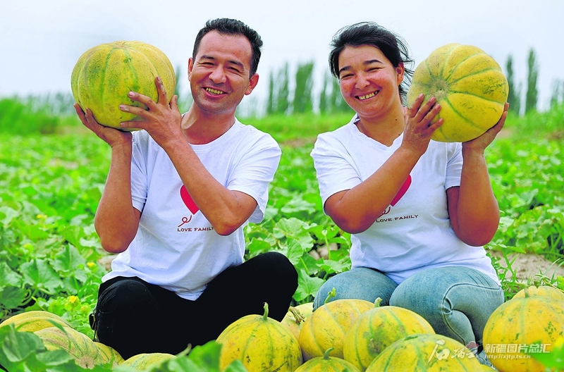 无码人妻少妇色欲AV一区二区