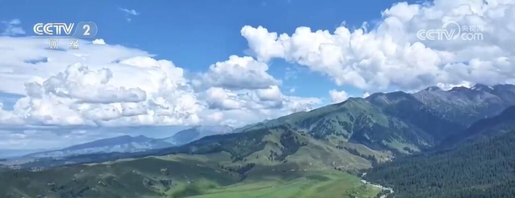 无码人妻少妇色欲AV一区二区