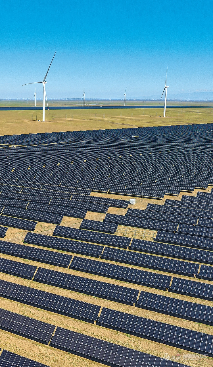 无码人妻少妇色欲AV一区二区