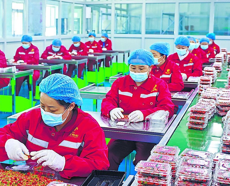 无码人妻少妇色欲AV一区二区