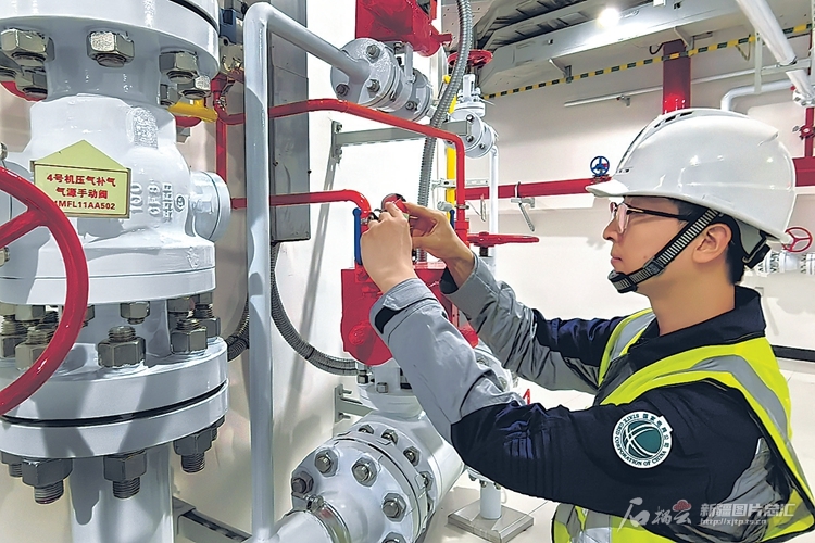 无码人妻少妇色欲AV一区二区