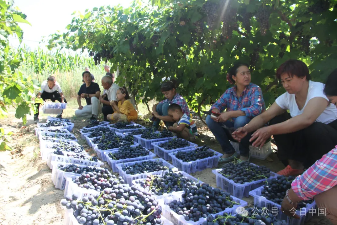 无码人妻少妇色欲AV一区二区