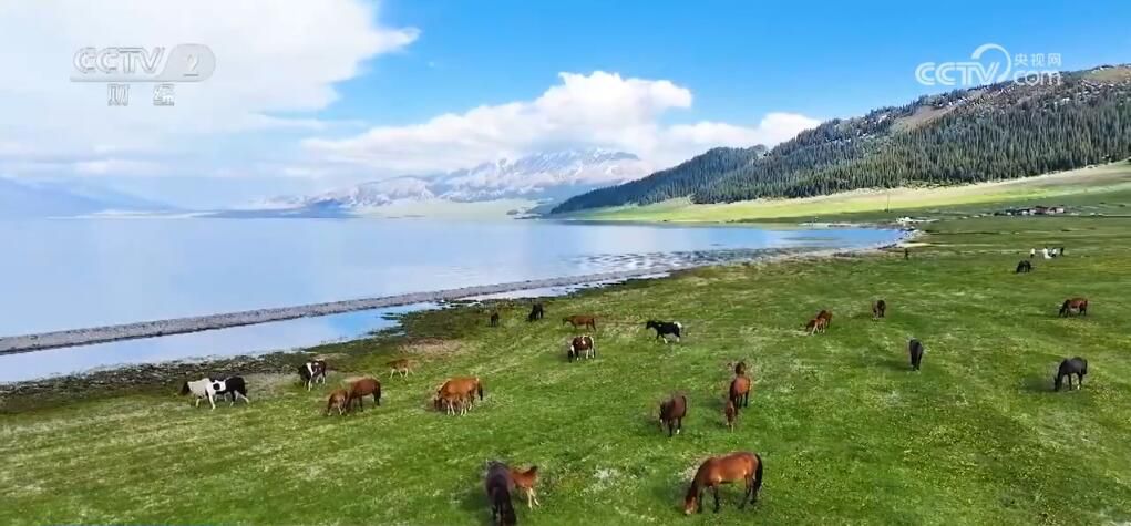 无码人妻少妇色欲AV一区二区