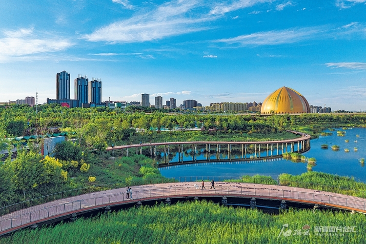 无码人妻少妇色欲AV一区二区