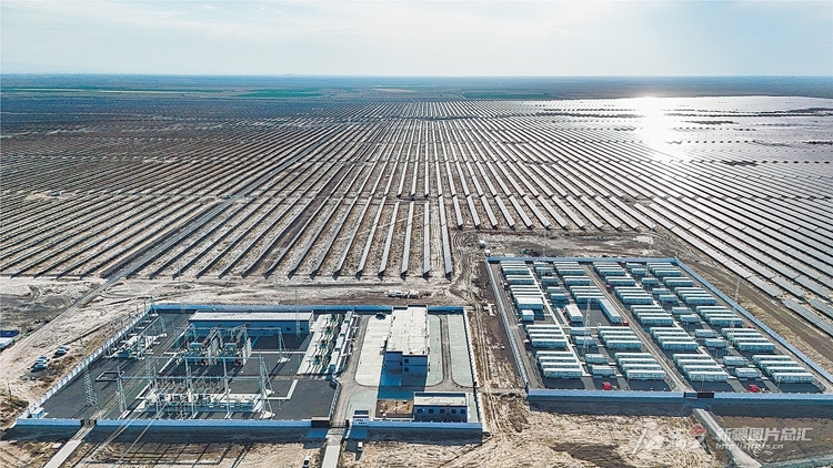 无码人妻少妇色欲AV一区二区