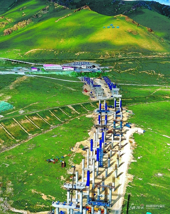 无码人妻少妇色欲AV一区二区