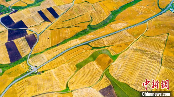 无码人妻少妇色欲AV一区二区