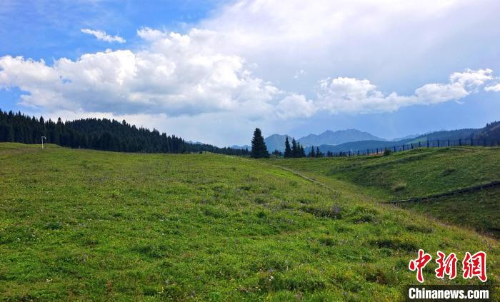 无码人妻少妇色欲AV一区二区