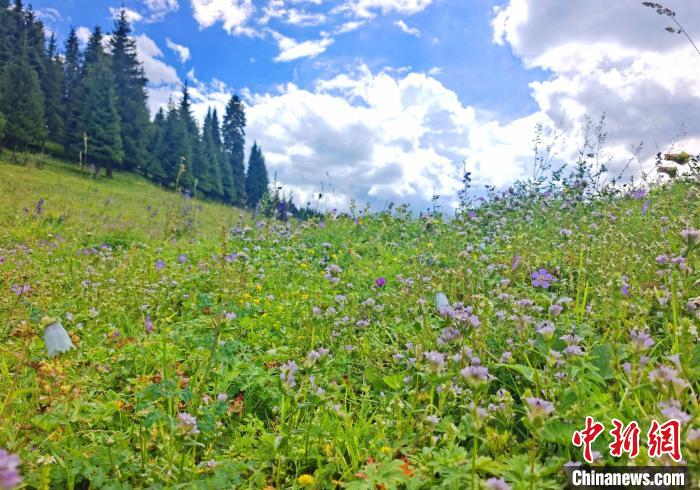 无码人妻少妇色欲AV一区二区