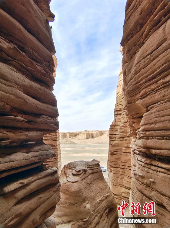 无码人妻少妇色欲AV一区二区