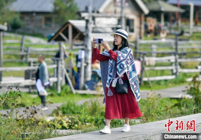 无码人妻少妇色欲AV一区二区