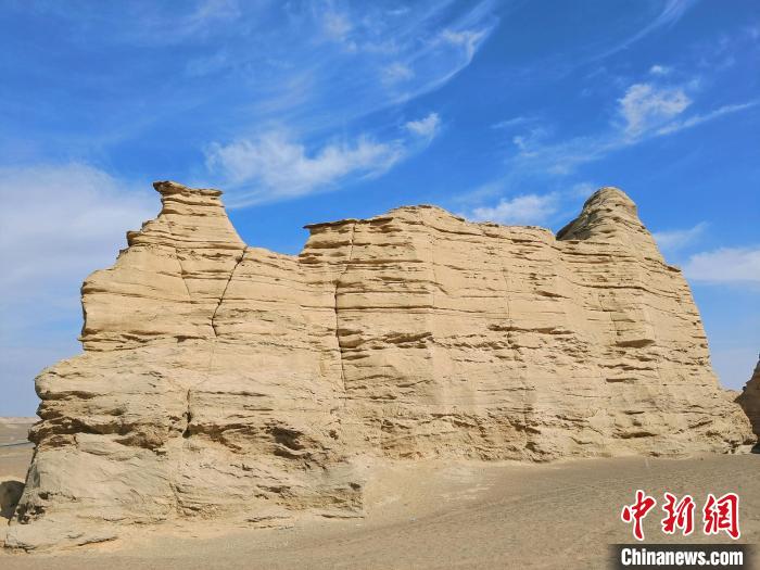 无码人妻少妇色欲AV一区二区