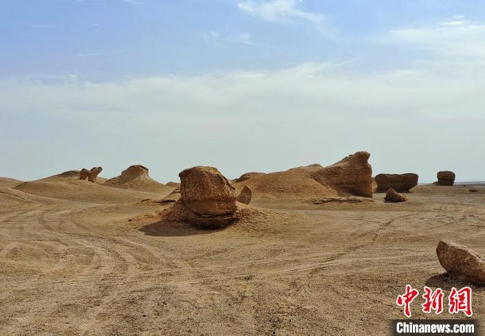 无码人妻少妇色欲AV一区二区