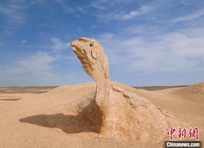 无码人妻少妇色欲AV一区二区