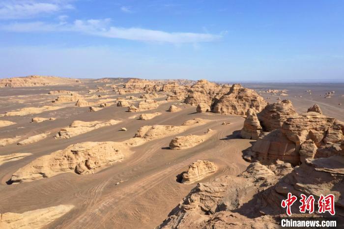 无码人妻少妇色欲AV一区二区