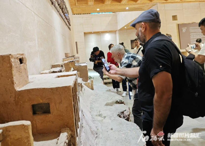 无码人妻少妇色欲AV一区二区