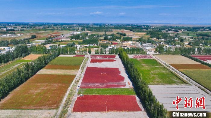 无码人妻少妇色欲AV一区二区