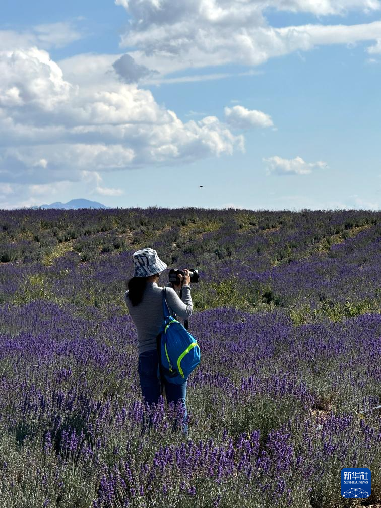 无码人妻少妇色欲AV一区二区
