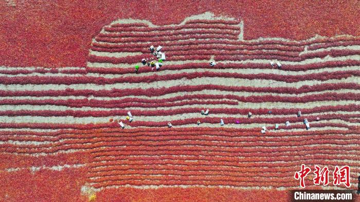 无码人妻少妇色欲AV一区二区