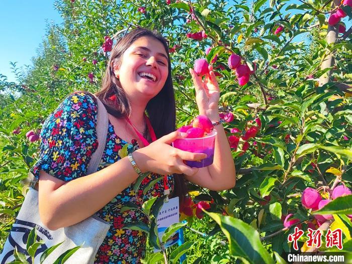 无码人妻少妇色欲AV一区二区