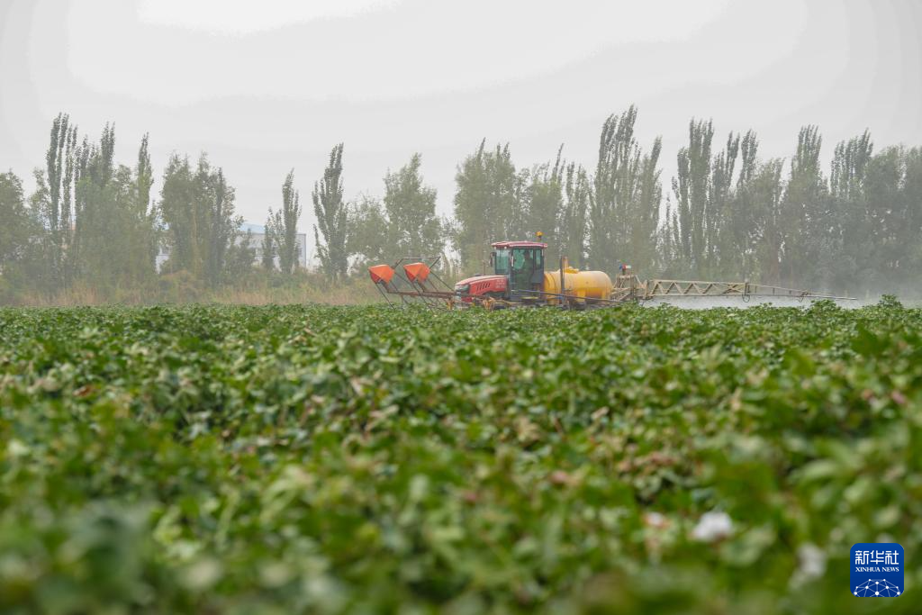 无码人妻少妇色欲AV一区二区