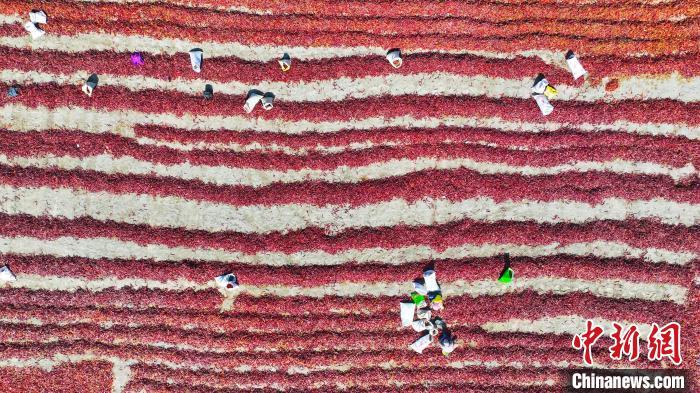 无码人妻少妇色欲AV一区二区