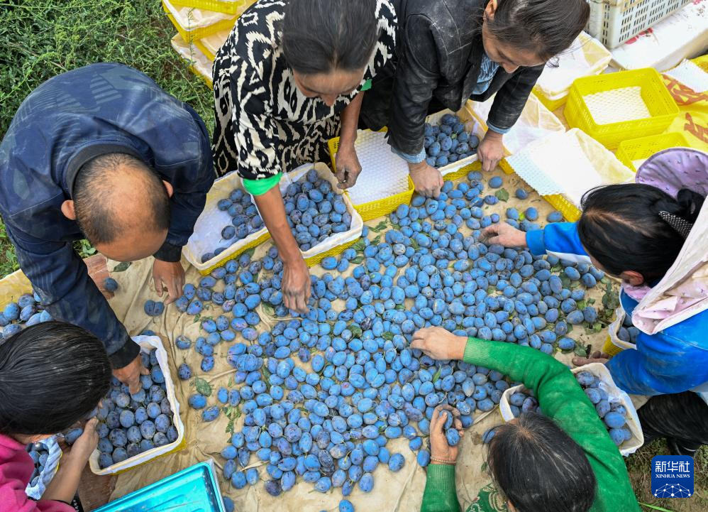 无码人妻少妇色欲AV一区二区