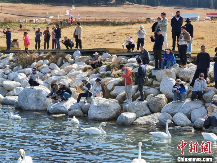 无码人妻少妇色欲AV一区二区