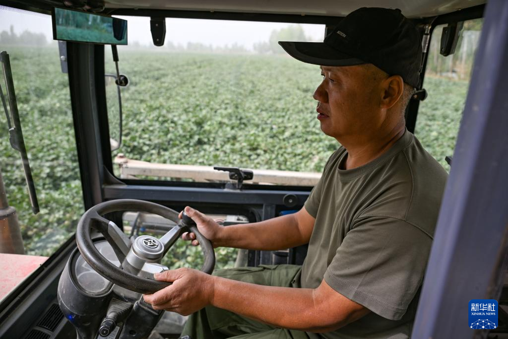 无码人妻少妇色欲AV一区二区