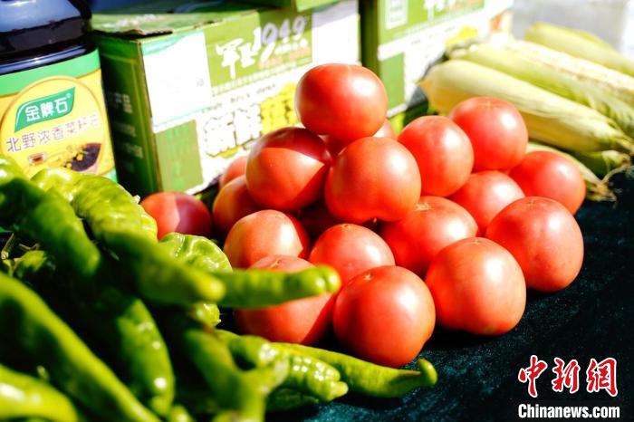 无码人妻少妇色欲AV一区二区