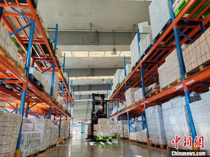 无码人妻少妇色欲AV一区二区