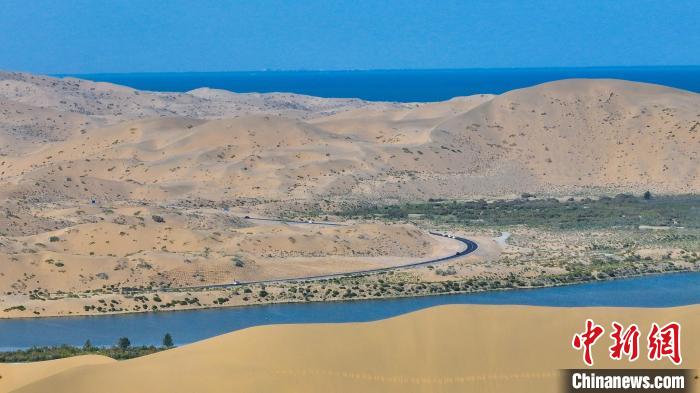 无码人妻少妇色欲AV一区二区