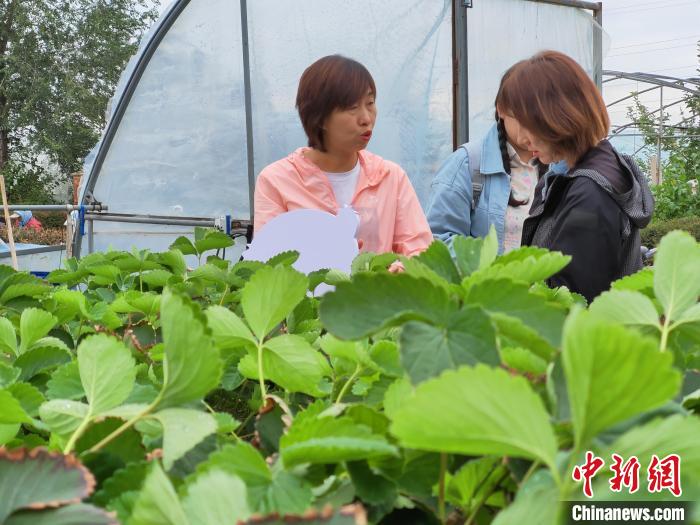 无码人妻少妇色欲AV一区二区