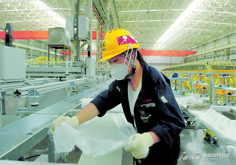 无码人妻少妇色欲AV一区二区