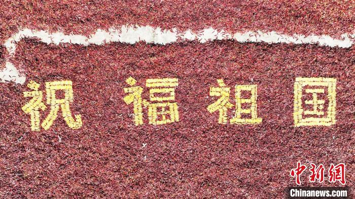 无码人妻少妇色欲AV一区二区