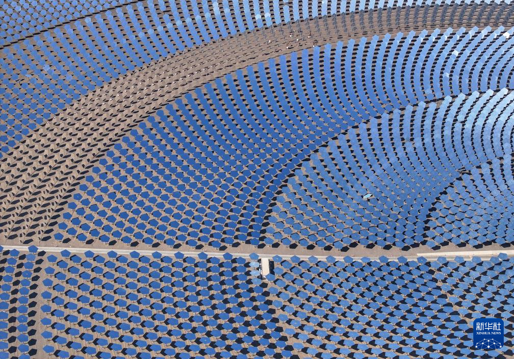 无码人妻少妇色欲AV一区二区