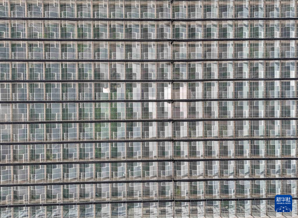 无码人妻少妇色欲AV一区二区