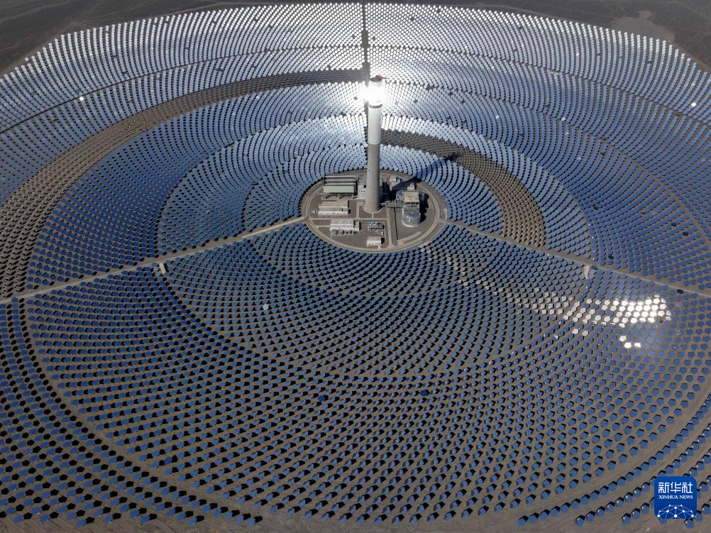 无码人妻少妇色欲AV一区二区