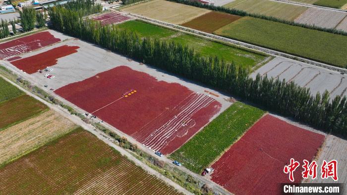 无码人妻少妇色欲AV一区二区