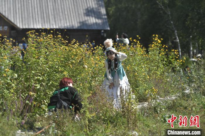 无码人妻少妇色欲AV一区二区