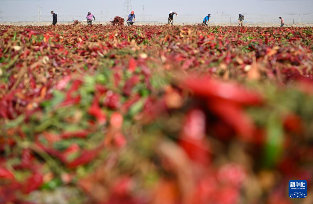 无码人妻少妇色欲AV一区二区