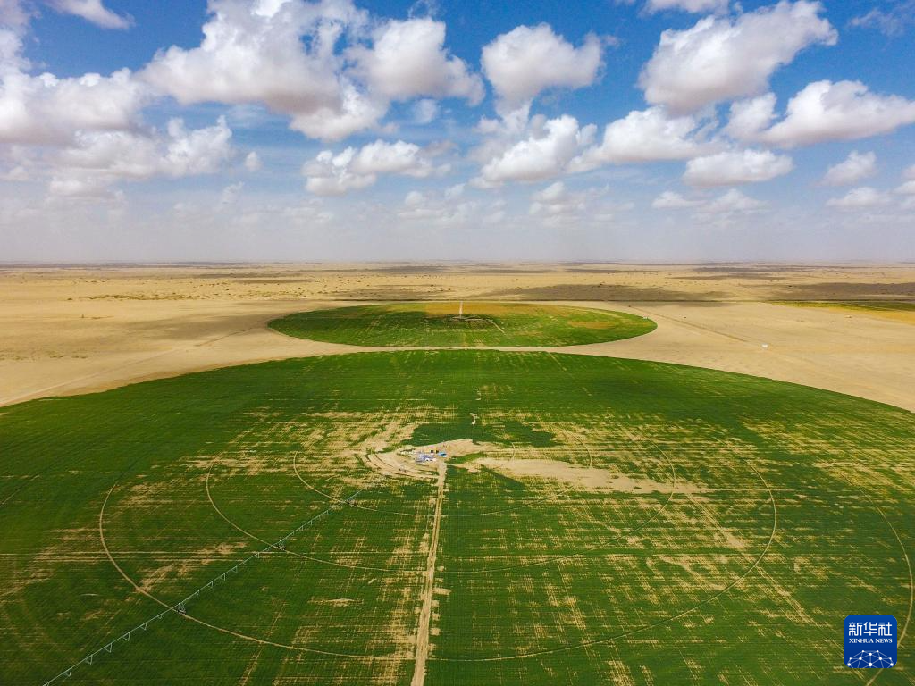 无码人妻少妇色欲AV一区二区