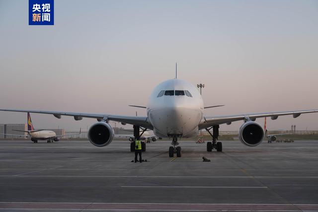 无码人妻少妇色欲AV一区二区