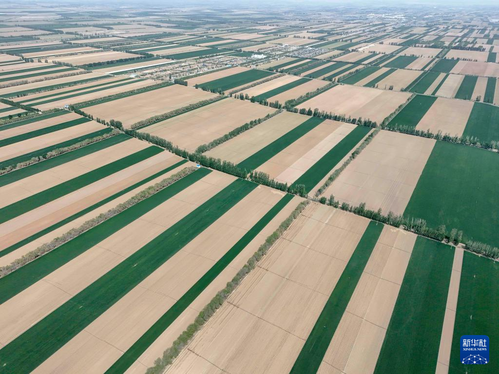 无码人妻少妇色欲AV一区二区