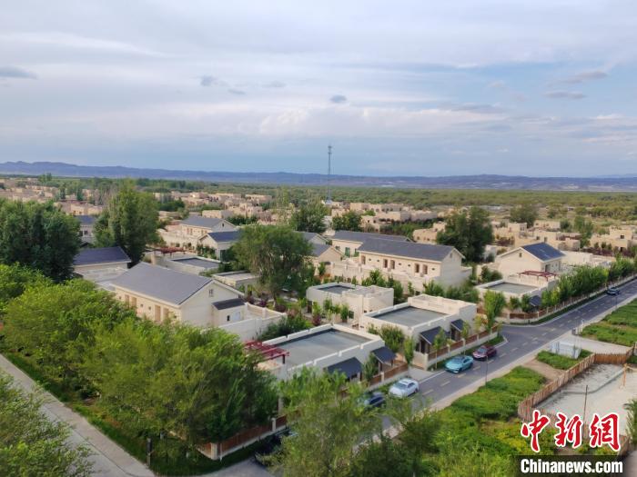 无码人妻少妇色欲AV一区二区