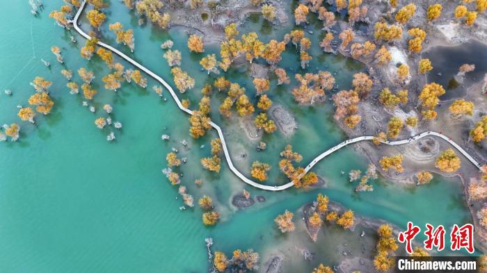 无码人妻少妇色欲AV一区二区