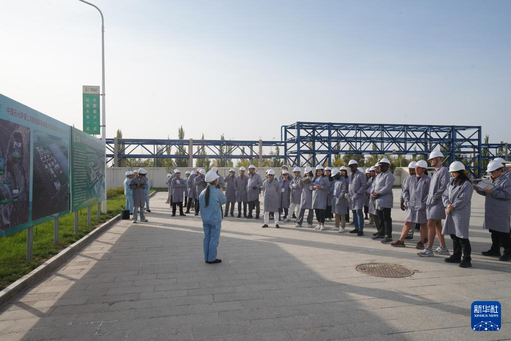 无码人妻少妇色欲AV一区二区