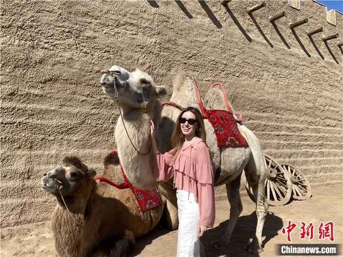 无码人妻少妇色欲AV一区二区